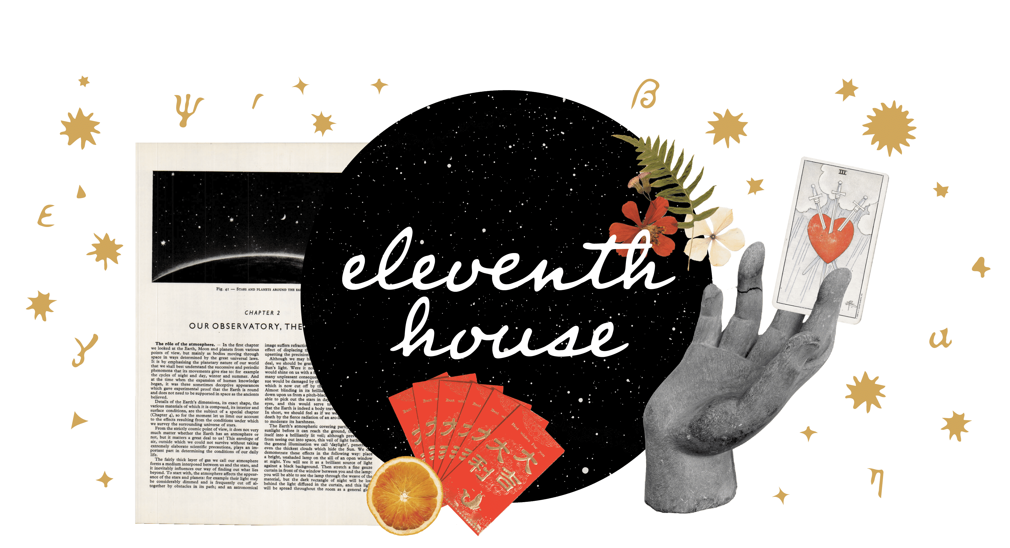eleventh house